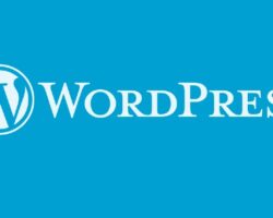 İçerik yönetim sistemi kullananların %83’ü WordPress altyapısını tercih etti