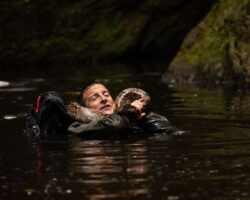 Netflix, Animals on The Loose: A You vs Wild Movie’nin resmi fragmanını ve ilk karelerini paylaştı