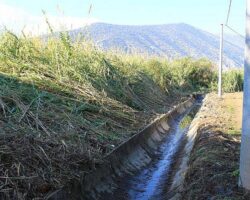 Antalya Büyükşehir Belediyesi sulama kanallarını temizliyor