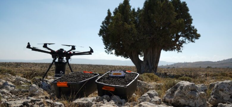 DHL Ormanı için son tohumlar drone’lardan atıldı