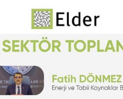 ELDER 13. Sektör Toplantısı dijital platform üzerinden gerçekleştirildi.