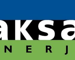 Aksa Enerji, Akdeniz Foklarının korunması için proje başlattı