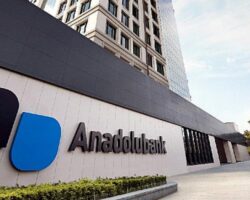 Aktif kârlılıkta 2020 lideri Anadolubank