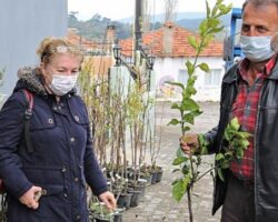 Buca Belediyesi’nden üreticiye 13 çeşit meyve fidanı