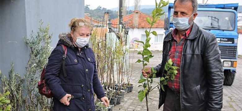 Buca Belediyesi’nden üreticiye 13 çeşit meyve fidanı