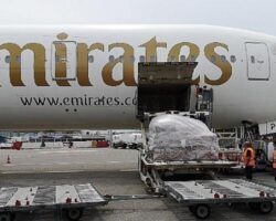 Emirates Skycargo, Yolcu Uçağıyla Kargo Taşıma Operasyonlarında Bir Yılı Geride Bıraktı