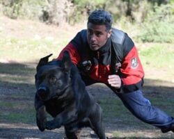 İtfaiyenin yedi köpeği hayat kurtarıyor