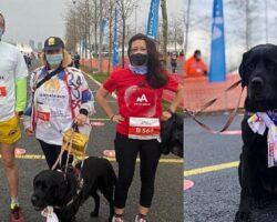 N Kolay Yarı Maratonu’nda Rehber Köpekler için Koştular