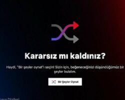 Netflix’in yeni özelliği “Bir Şeyler Oynat”