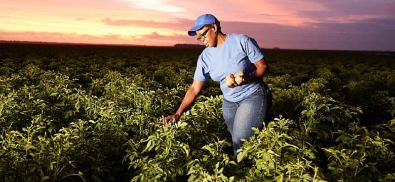 PEPSICO yenileyici tarım uygulamalarını 28,3 milyon dönüme çıkaracak