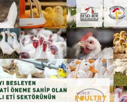 10 Mayıs Dünya Kanatlı Günü “Beyaz et sektörü çalışanlarıyız ve üretiminden gurur duyuyoruz”
