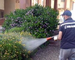 Aliağa Belediyesi Sivrisinekle Mücadelesini Sürdürüyor