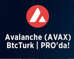 Avalanche (AVAX) BtcTurk | PRO’da