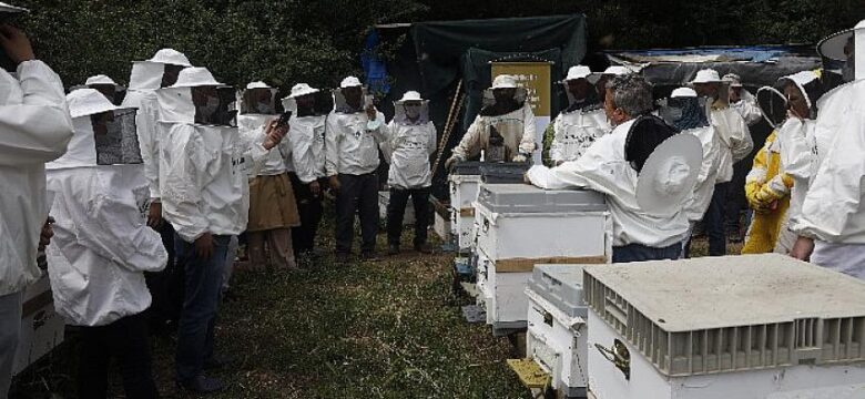 Balparmak Arıcılık Akademisi ile İstanbul İli Arı Yetiştiricileri Birliği İstanbul’a Yeni Arıcılar Kazandırdı