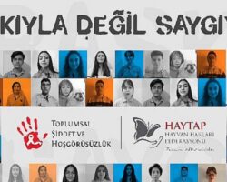 “Bilnet Liselerinden Emekli Yük Hayvanlarına Destek”