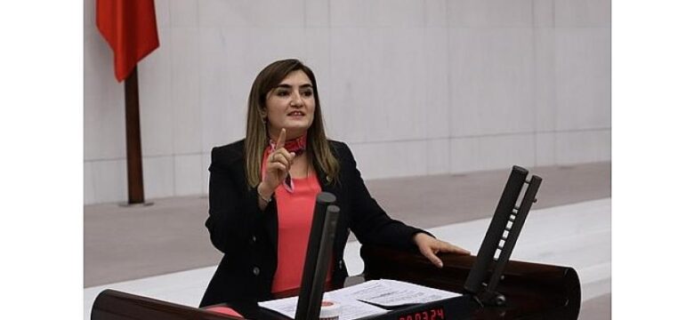 CHP İzmir Milletvekili Av. Sevda Erdan Kılıç: “Salgın içeride de dışarıda da yönetilemiyor”