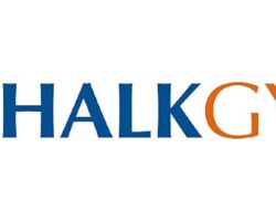 Halk GYO 2021 Birinci çeyrek finansal sonuçları açıklandı