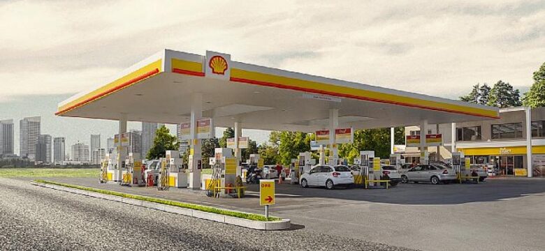 Shell ve ZUBİZU İş Birliklerinin 5. Yılında