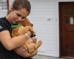 Yukon Veterineri Yeni Sezonuyla National Geographic WILD Ekranlarında