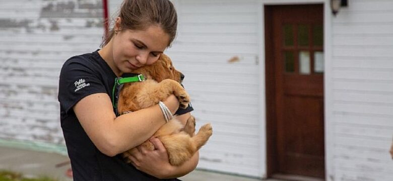 Yukon Veterineri Yeni Sezonuyla National Geographic WILD Ekranlarında