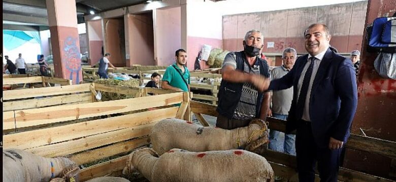 Bursa Büyükşehir Belediyesi kentteki yetim ailelerine kurbanlık dağıtıyor