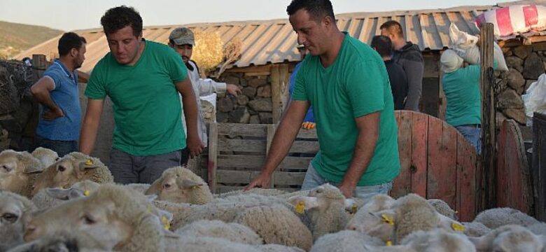 Aliağa Belediyesi’nden Manavgat’taki Köylülere Destek