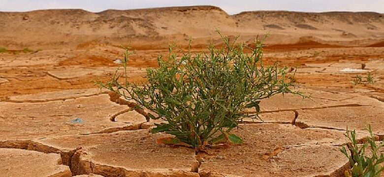 IPCC Uyardı: “İklim Değişikliğini Sınırlandırmak İçin Derhal Harekete Geçilmeli”