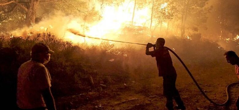 Orman Genel Müdürü Karacabey yangınlara ilişkin açıklamada bulundu