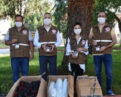 Rekolte kaybını önlemek için Akdeniz Meyve Sineği ile bölgesel mücadele çağrısı