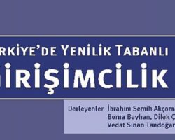 Türkiye’de Yenilik Tabanlı Girişimcilik