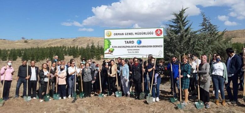 Covid19 Nedeniyle Hayatını Kaybedenlerin Anısına Hatıra Ormanı