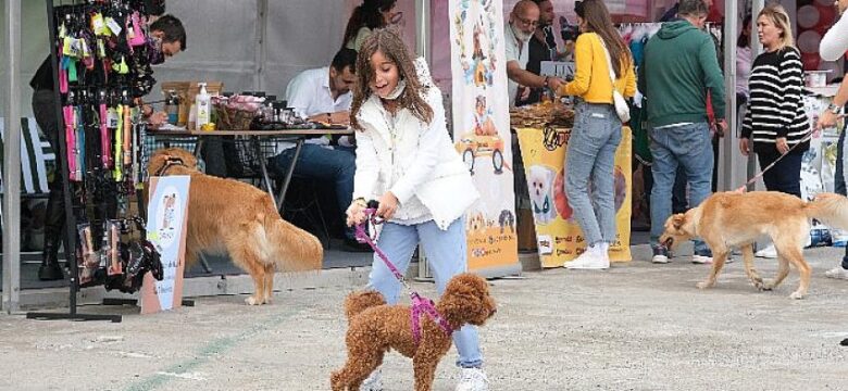 Hayvan Dostları Yararına Gerçekleştirilen pet11 Fest x KüçükÇiftlik Bark’tan Elde Edilen Gelirle 5 Ton Mama ve 70 Adet Kulübe Barınaklara Bağışlandı!