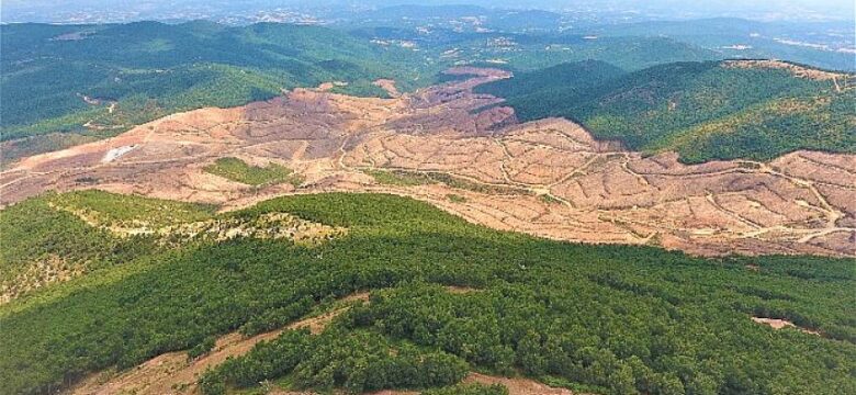 Kaz Dağları’ndan sevindirici haber: Ağı Dağı Maden Projesi ÇED Olumlu Kararı Geçerliliğini Yitirdi