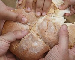 Halkın Ekmeğinden Elinizi Çekin!