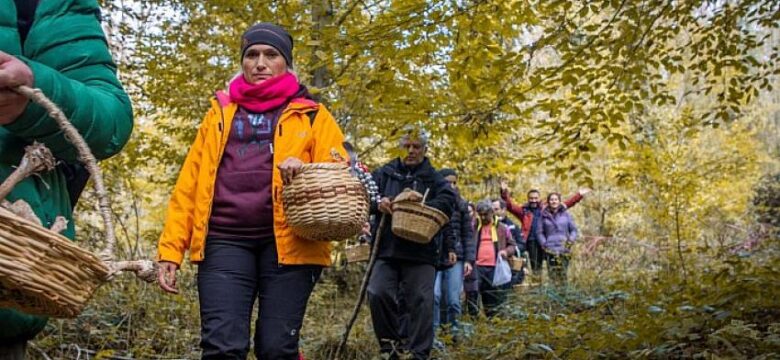 Kocaeli’nin ilk mantar avı Ormanya’da yapıldı