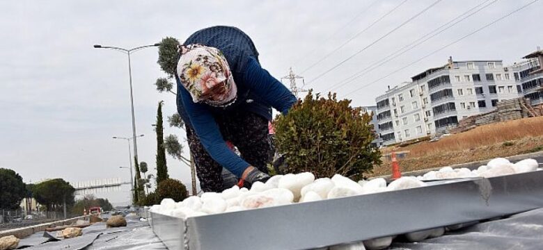 Necmettin Giritlioğlu Caddesi Peyzaj Çalışmalarıyla Taçlandı