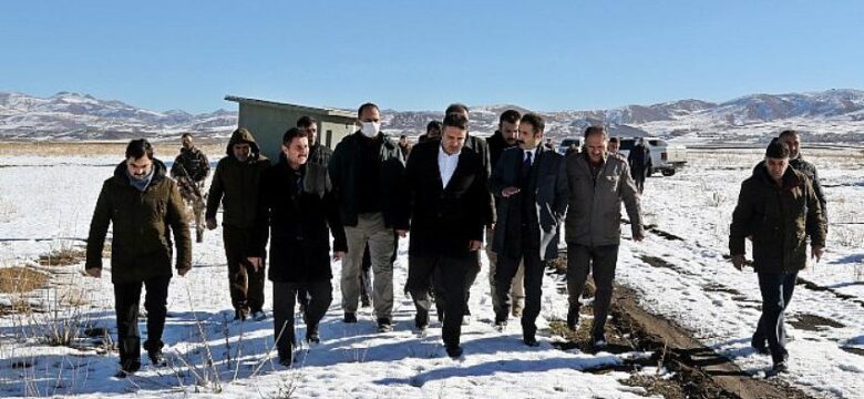 Bakışık’ın Hayvan İçme Suyu Sorunu Giderildi