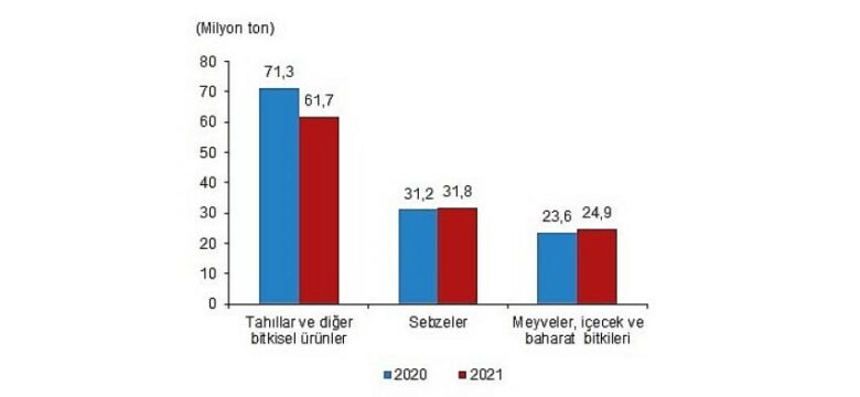 Bitkisel Üretim İstatistikleri, 2021