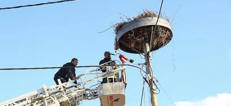 Direk Kırılınca Düşen Leylek Yuvası Onarıldı