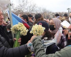 Bayındır’ın Turan Nergisinin Kokusu Her Yerde