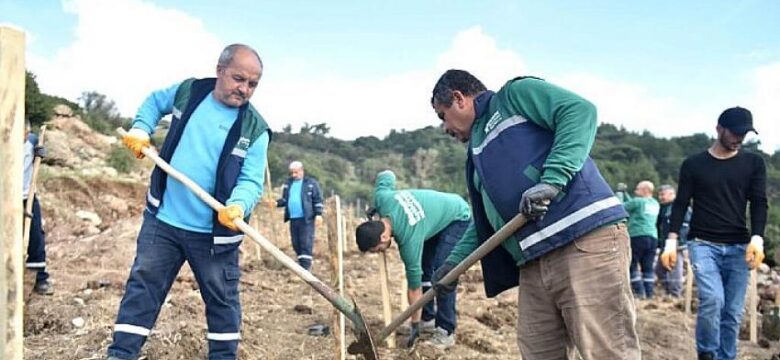 Bornova’ya yeni Misket Üzümü Bağı