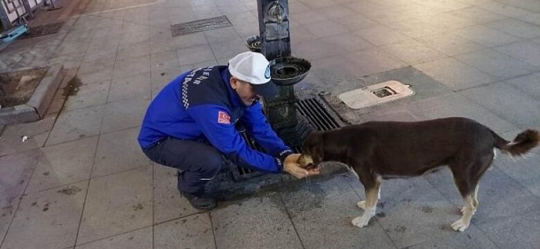 Elleriyle köpeğe su içirdi, gönülleri fethetti