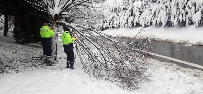 Gebze bölgesinde kar yağışında kırılan ağaç dalları kaldırılıyor