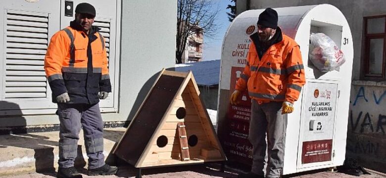 Bilecik Belediyesi Sokak Hayvanlarına Sahip Çıkmaya Devam Ediyor!