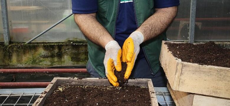 Gölbaşı Belediyesi Ata Tohumlarını Toprakla Buluşturdu