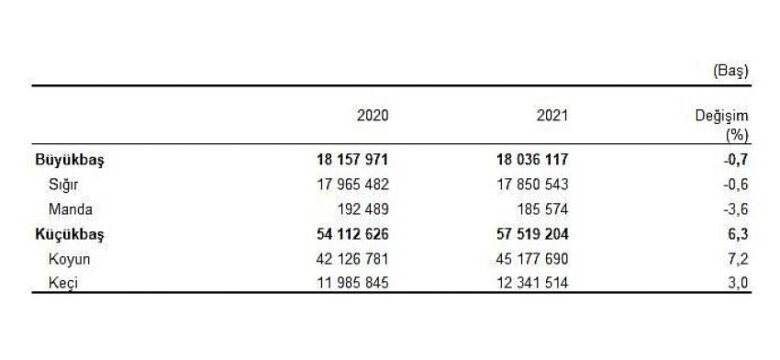 Hayvansal Üretim İstatistikleri, Aralık 2021