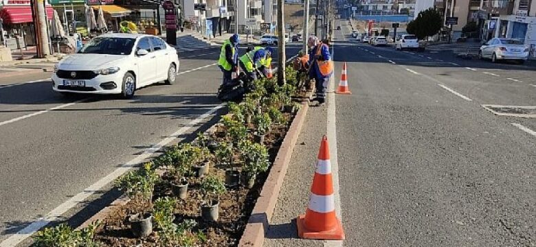 Park ve bahçeler ekipleri ağaçlandırma ve peyzaj çalışmalarını sürdürüyor