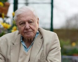 Sir David Attenborough ile Doğal Dünyanın Olağanüstü Seslerini Dinlemeye Davetlisiniz