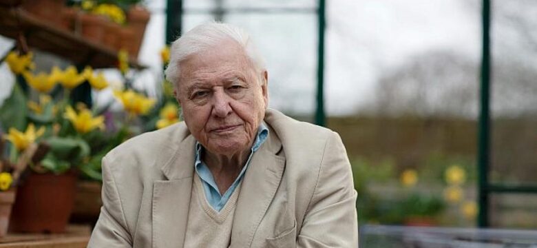 Sir David Attenborough ile Doğal Dünyanın Olağanüstü Seslerini Dinlemeye Davetlisiniz