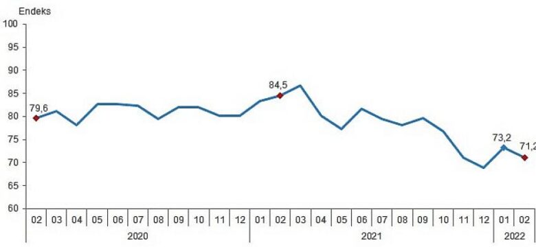 Tüketici Güven Endeksi, Şubat 2022